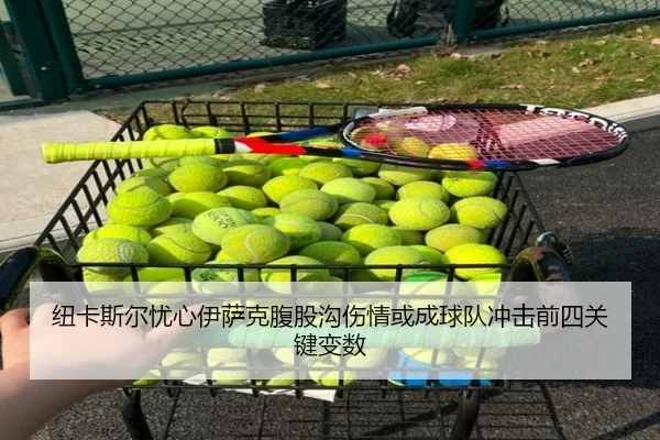 纽卡斯尔忧心伊萨克腹股沟伤情或成球队冲击前四关键变数