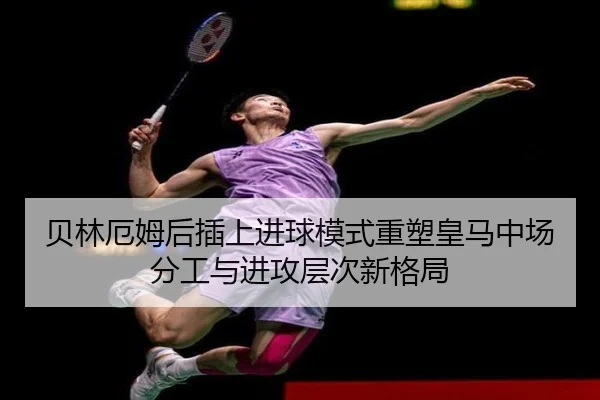 img_1780945364462_430_1_807.jpg